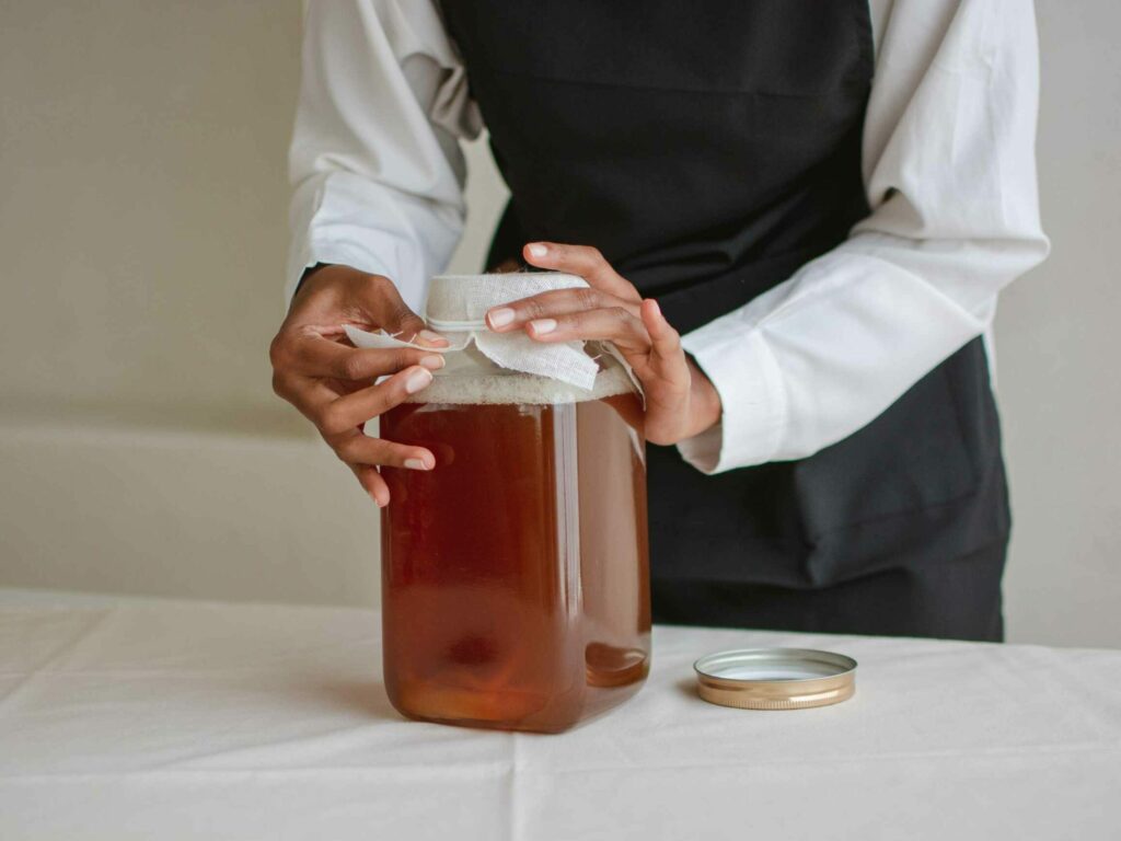 kombucha herstellung fermentation